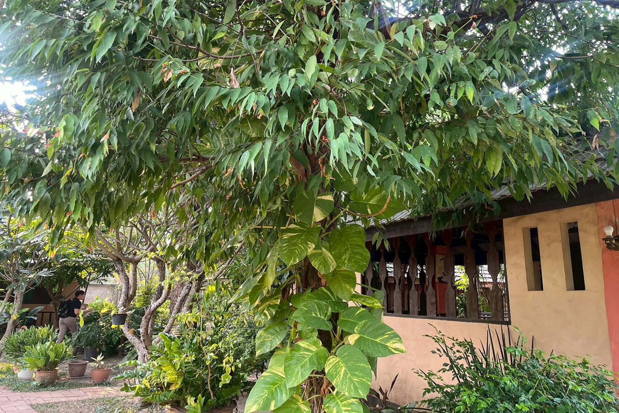 The Royal Shilton Resort Chiang Mai Exterior foto